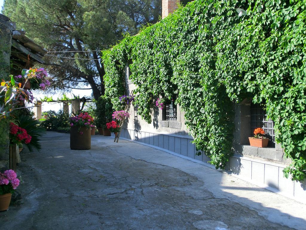 Il Limoneto Acireale Villa Dış mekan fotoğraf