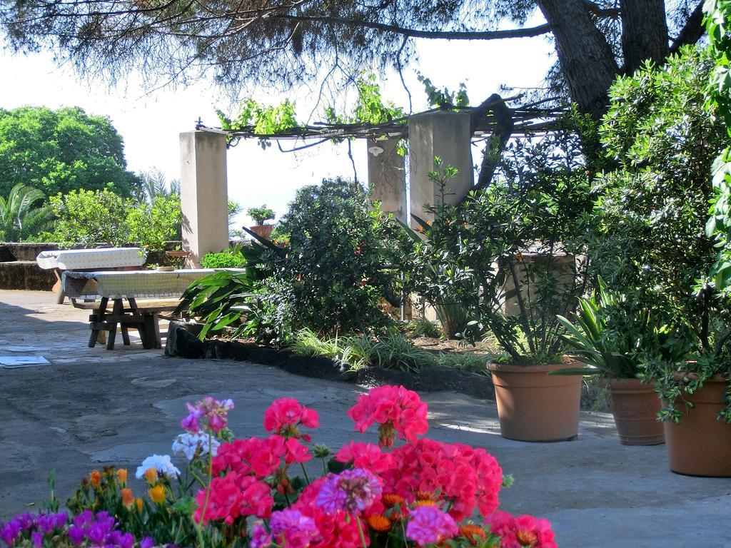 Il Limoneto Acireale Villa Dış mekan fotoğraf